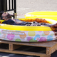 Image for article titled A young face joins the gang on The Last Man On Earth